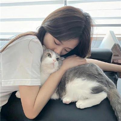 新琼森帮